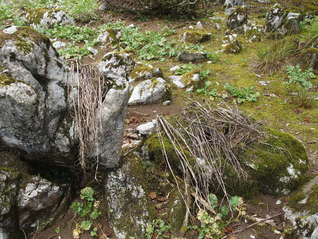 a0253180_16173870.jpg