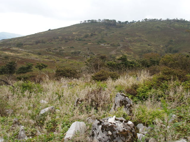 a0253180_16534891.jpg
