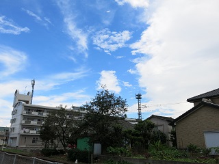 e0130185_120448.jpg
