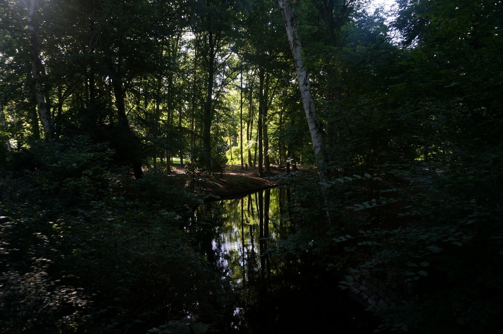 c0180686_01154324.jpg