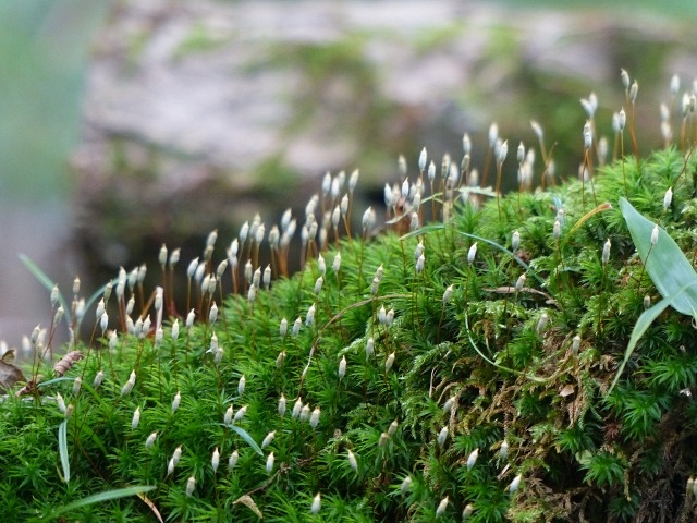 f0357487_2104658.jpg