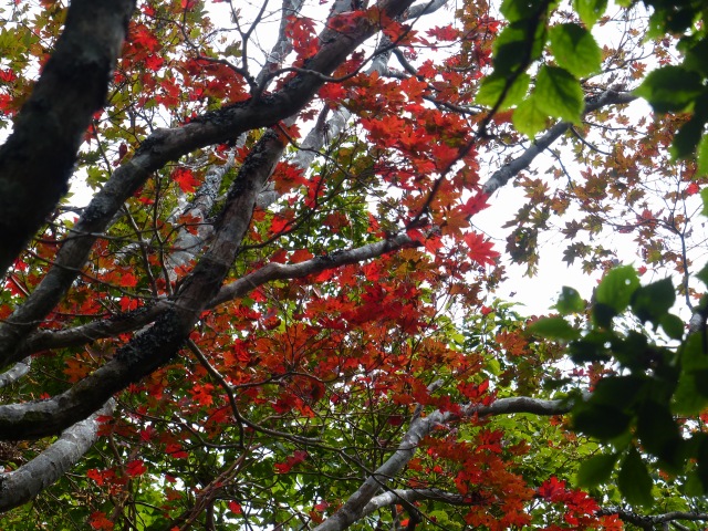 f0357487_21194678.jpg