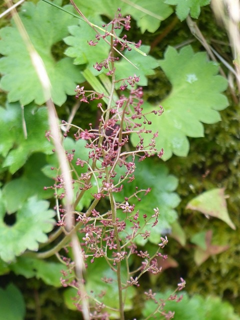 f0357487_21224069.jpg