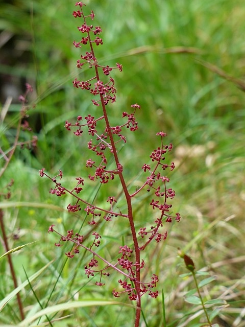 f0357487_21231977.jpg