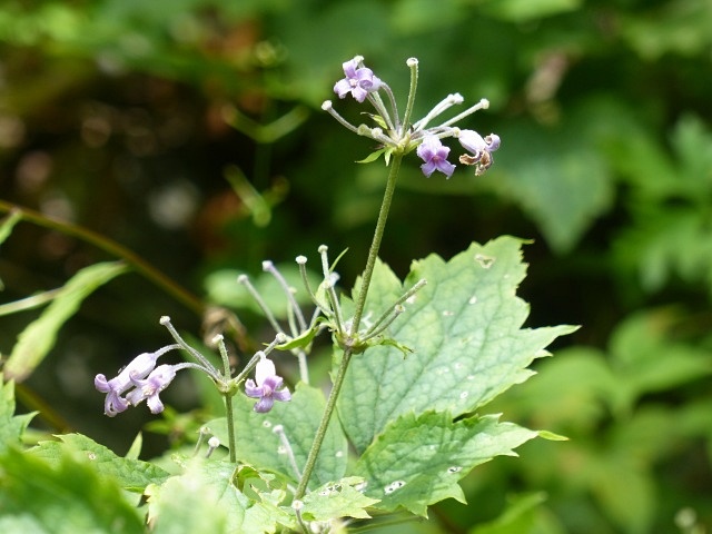 f0357487_217498.jpg