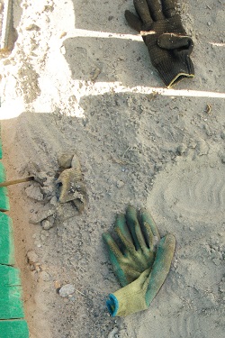 c0129991_20431582.jpg