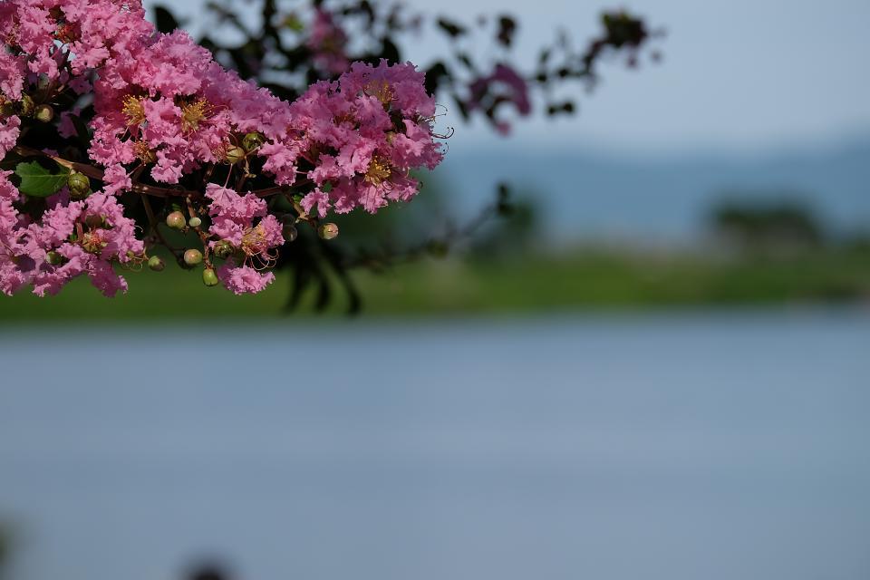 d0069495_09370125.jpg
