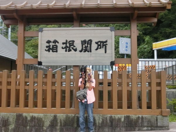 d0098295_16253055.jpg