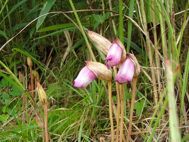 b0039898_21274831.jpg