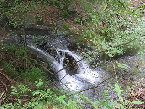 d0046702_553219.jpg