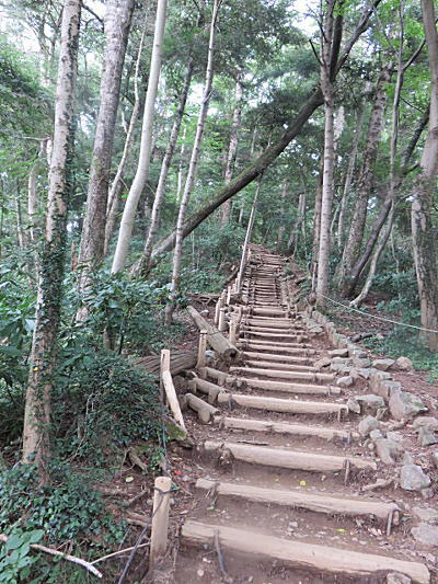 d0046702_554627.jpg