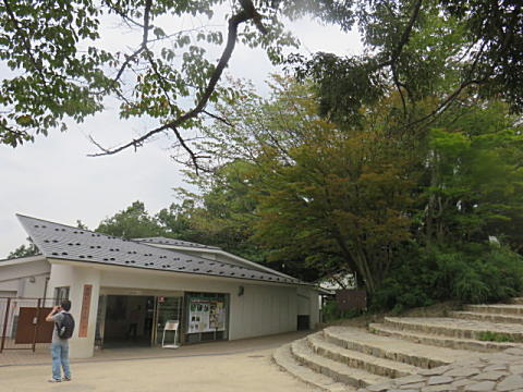 d0046702_645881.jpg
