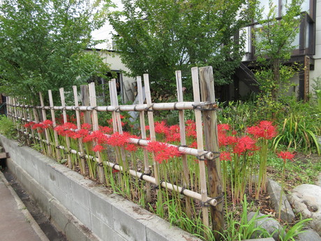 a0203003_19334235.jpg