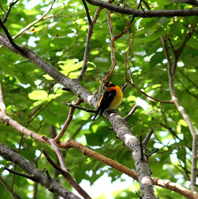 c0213607_23123108.jpg