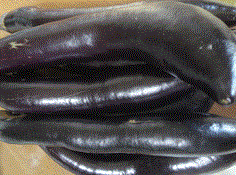 f0231709_162794.gif