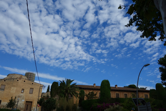 b0064411_02570667.jpg