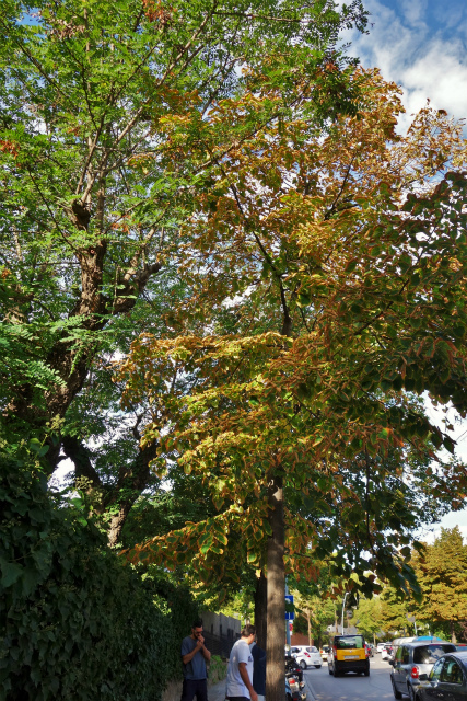 b0064411_03030501.jpg