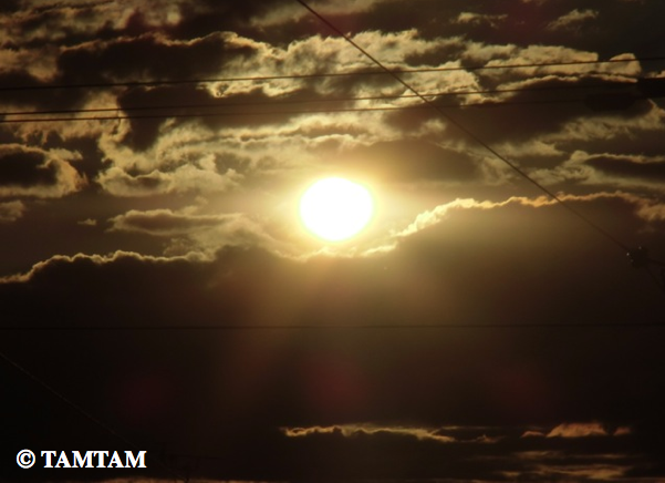 b0181015_1750268.png