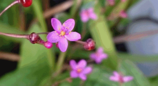 e0350415_23593541.gif