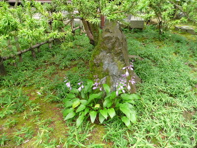 e0135219_1744886.jpg