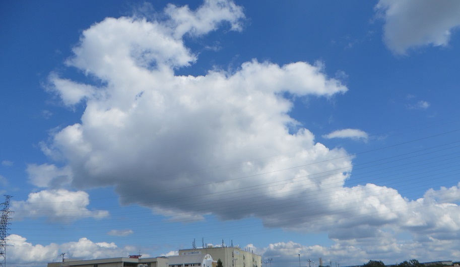 c0280322_16533543.jpg