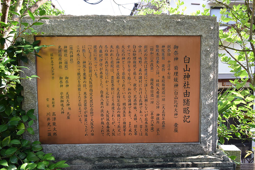 e0158128_2054534.jpg