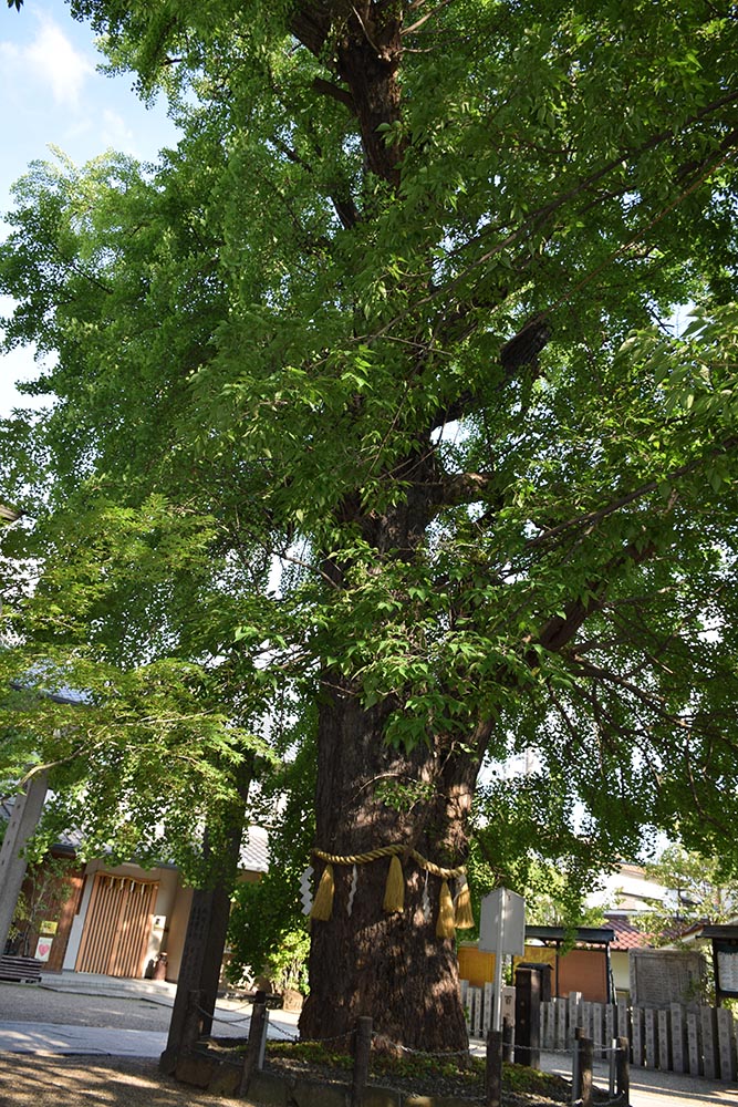 e0158128_20593482.jpg