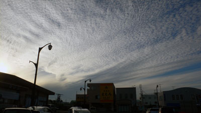 a0046429_0251858.jpg