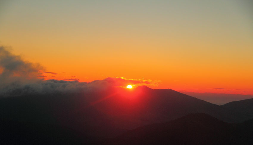 d0069235_2042844.jpg