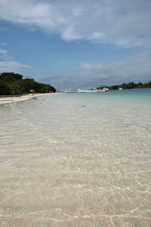 c0148238_2282848.jpg