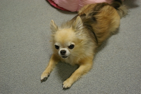 f0154751_2263234.jpg