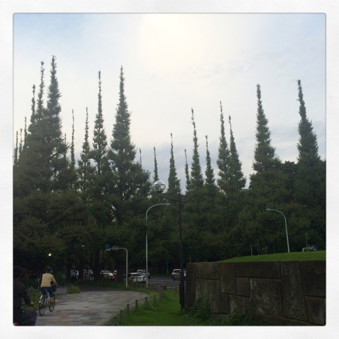 e0009662_11032840.jpg