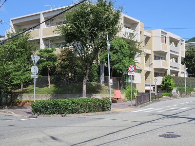 b0096463_8484360.jpg