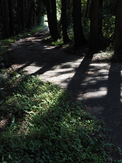 e0346064_5444695.gif