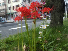 b0192588_9285974.jpg