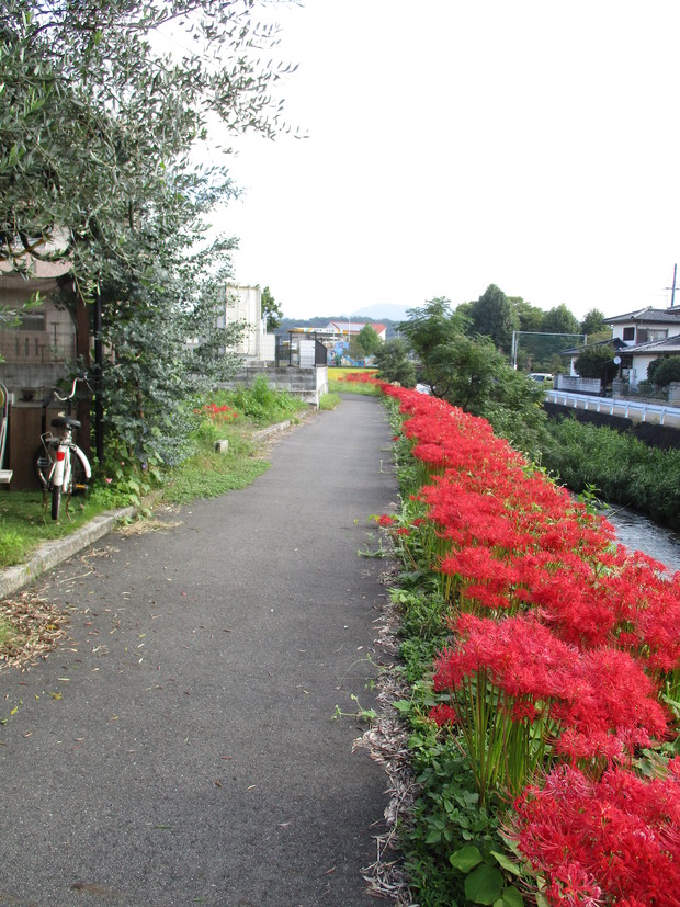 d0333091_22194811.jpg