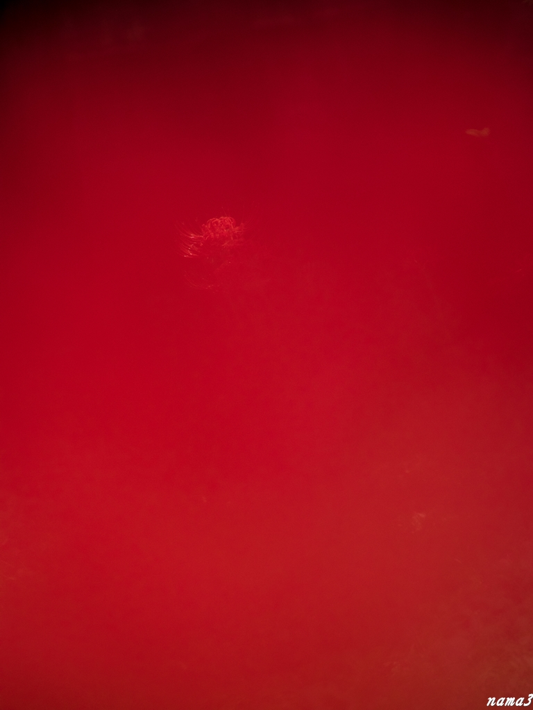 f0224100_2333551.jpg