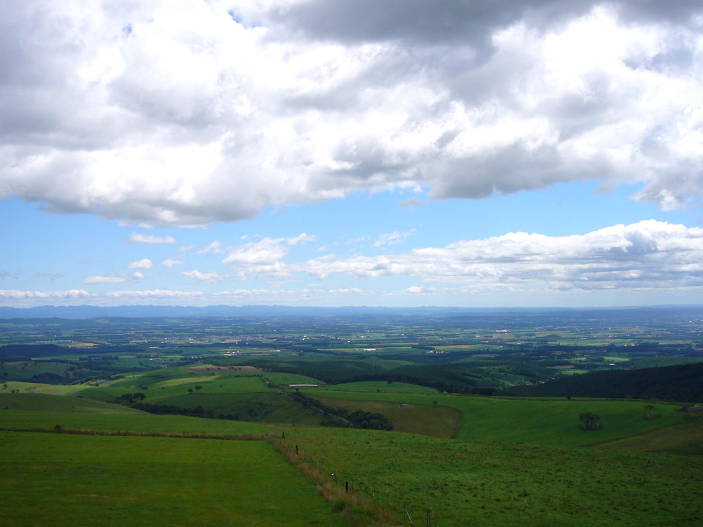 f0147602_10502031.jpg