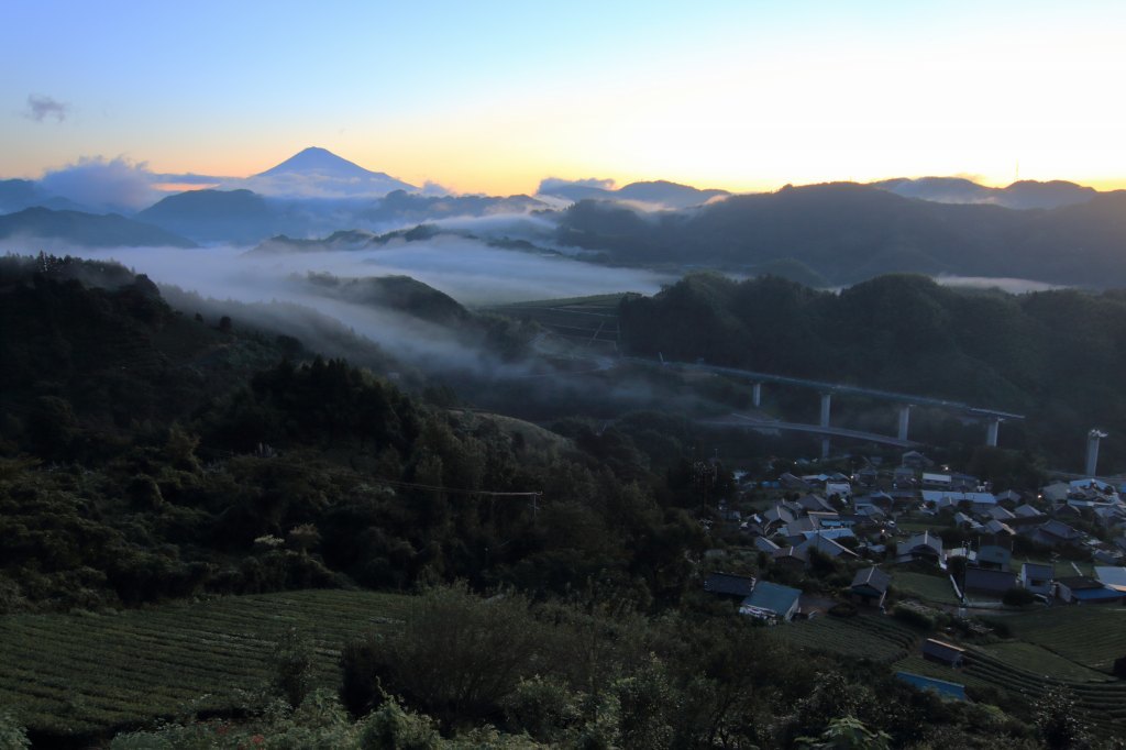 a0188405_10253399.jpg