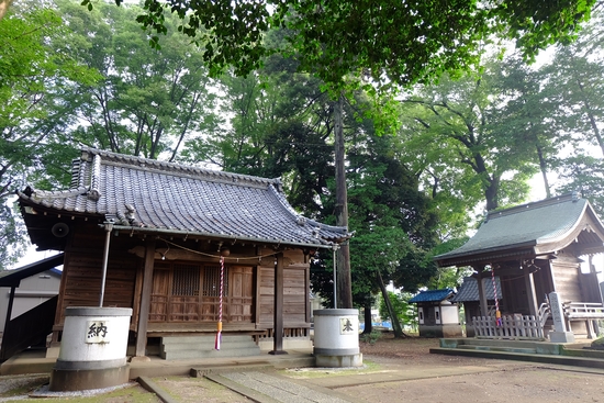 f0113108_1152136.jpg