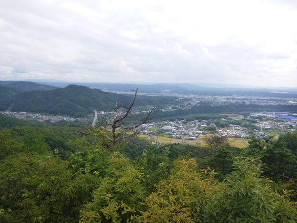 d0170615_1434399.jpg