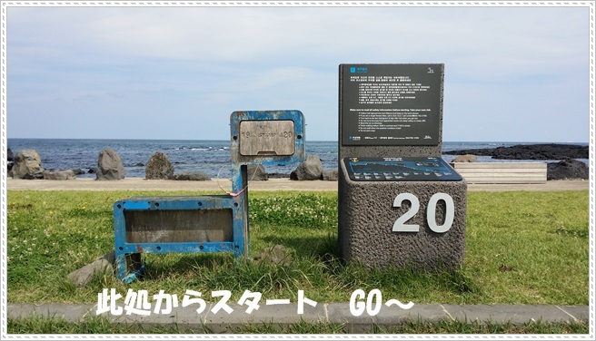 a0115924_17592997.jpg