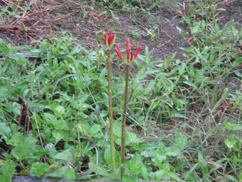 c0077330_18525721.jpg