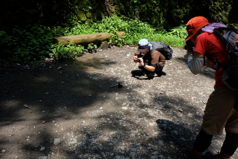 b0281732_1724324.jpg