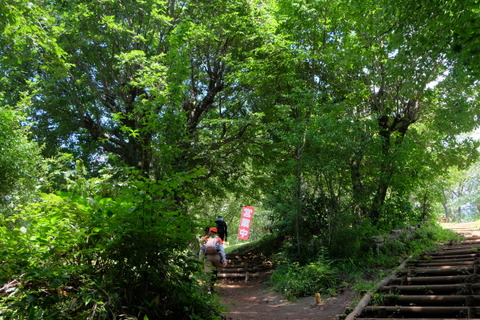 b0281732_1735976.jpg