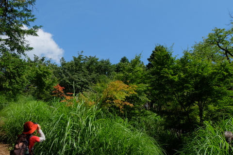 b0281732_1744510.jpg