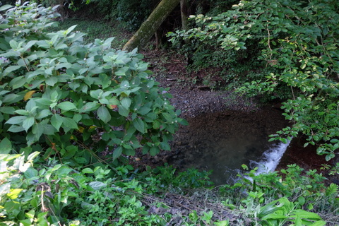 b0281732_1785477.jpg