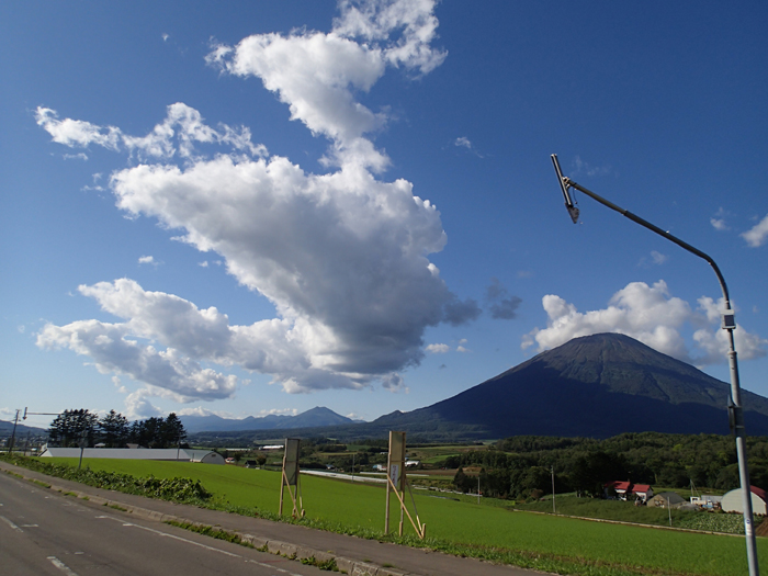 c0288736_8215014.jpg