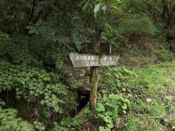 a0206345_18421211.jpg