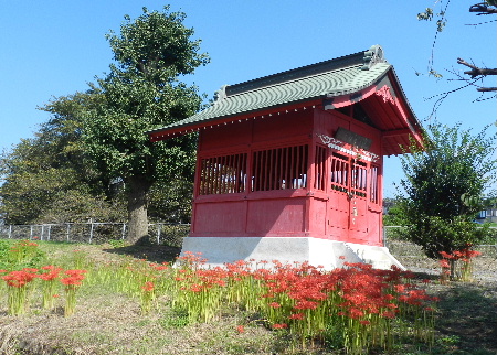 e0172950_20105888.jpg